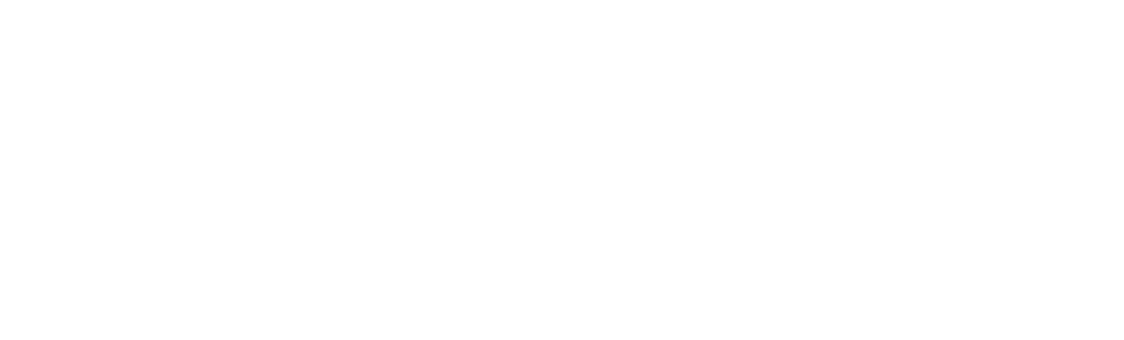 Technovisers